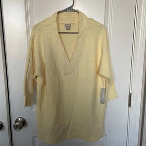 NWT Chico's V-Neck Sweater